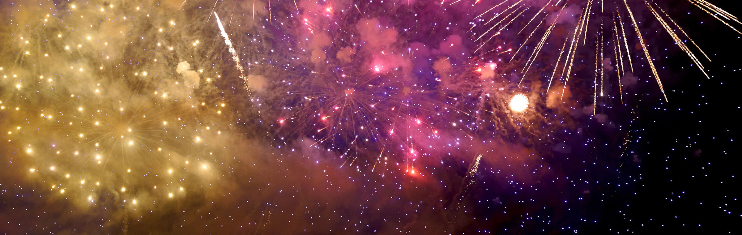 purple and gold fireworks against a starry sky