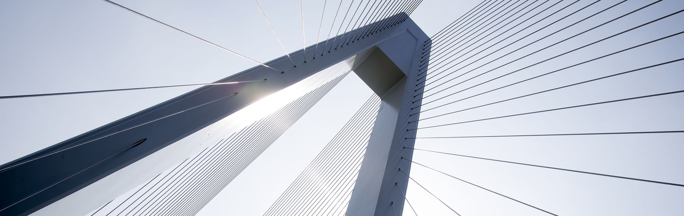 cables of a suspension bridge